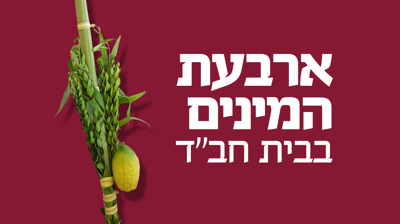 ארבעת המינים לסוכות - רכישת לולב, אתרוג, הדס וערבה - חב