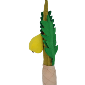 סט 4 מינים מספוג איכותי - לילד