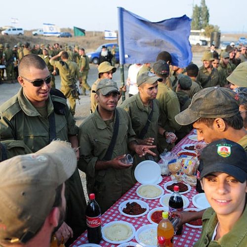 WhatsApp Image 2026-01-04 at 09.44.13 (5)